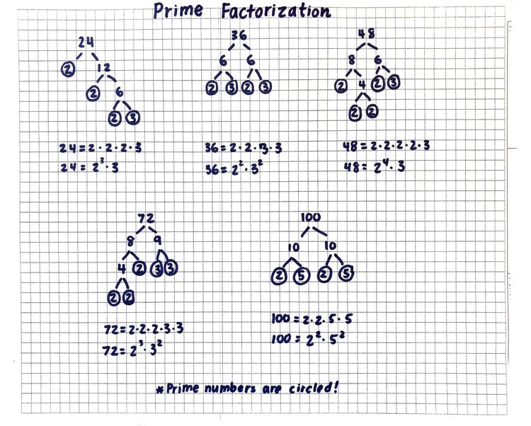 Prime Factorization